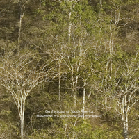 Deun Hyang Palo Santo Natural Aroma Smudge Stick 3ea