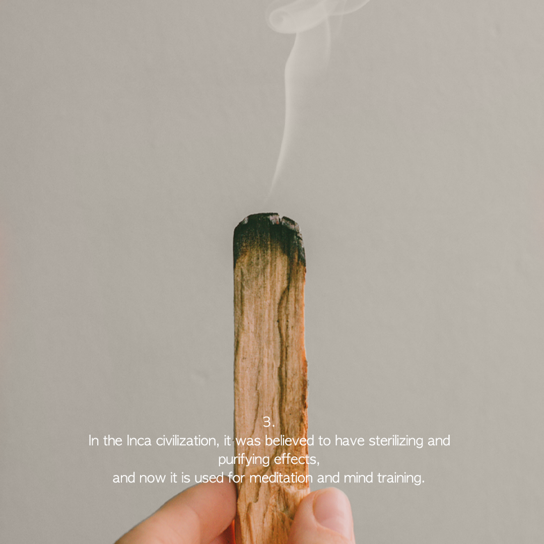 Deun Hyang Palo Santo Natural Aroma Smudge Stick 3ea