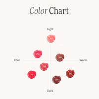 Dinto Mirrorless Lip Gloss (7 Shades)