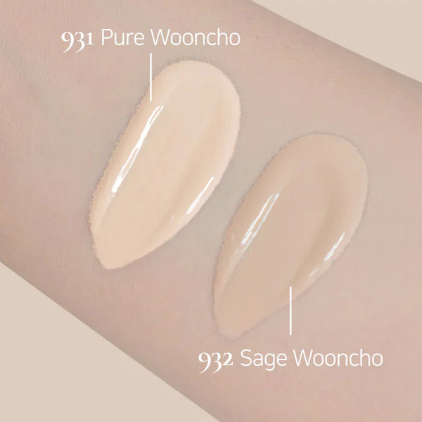 Dinto Wooncho Blur-Glowy Foundation 25ml 2colors
