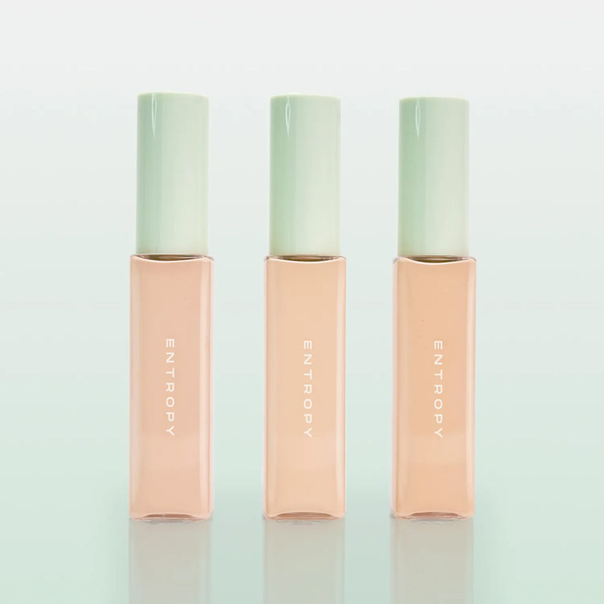 ENTROPY Organza Fit Spatula Foundation 40g