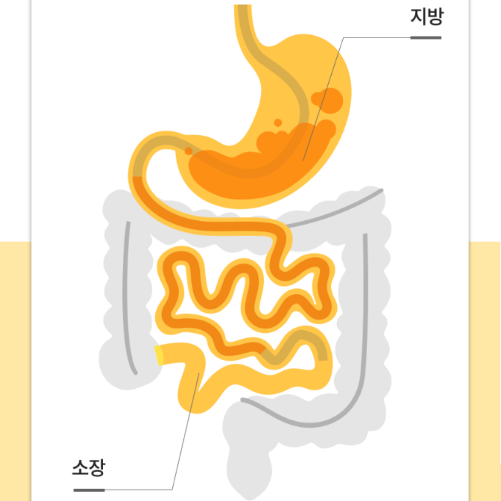 FITUP Alpha-CD Zero Cut Powder Alpha-Cyclodextrin 70% (14 Pouches)