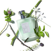 FORMENT Signature Perfume #Cotton Breeze 50ml