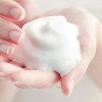 DERMA FACTORY EDLP Houttuynia Cordata 24% Cleansing Foam 120g