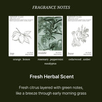 HAIR+ Oh! Fresh Deep Herbal Water Scaler 200ml