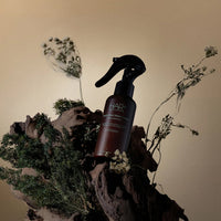 HAIR+ Protein Bond Water Essence Woody Blanche Edition 120ml