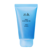 HANYUL Pure Artemisia Hyal Moisturizing Cream 60ml
