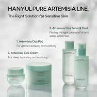 HANYUL Pure Artemisia Trouble Calming Mist 120ml Refill Set (+120ml Refill)