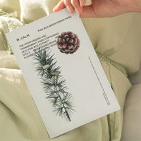 HUECALM Bud Brightening Mask 25g 10ea