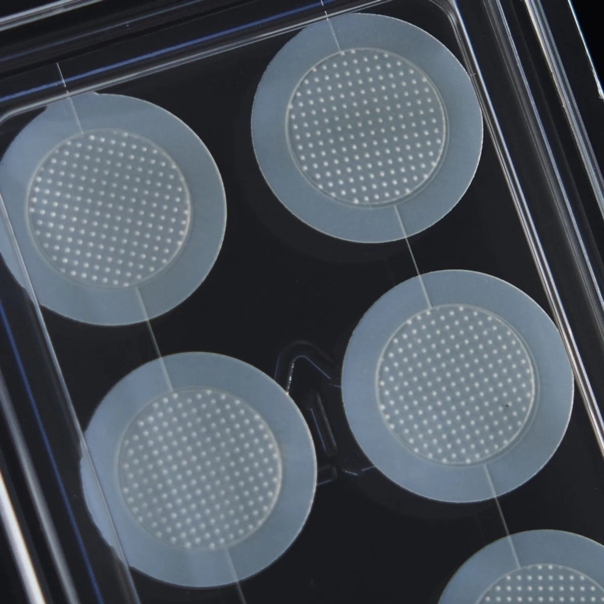 Huecalm niacina vita C Nnow Patch 10G 6EA