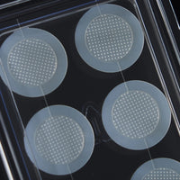 Huecalm niacina vita C Nnow Patch 10G 6EA