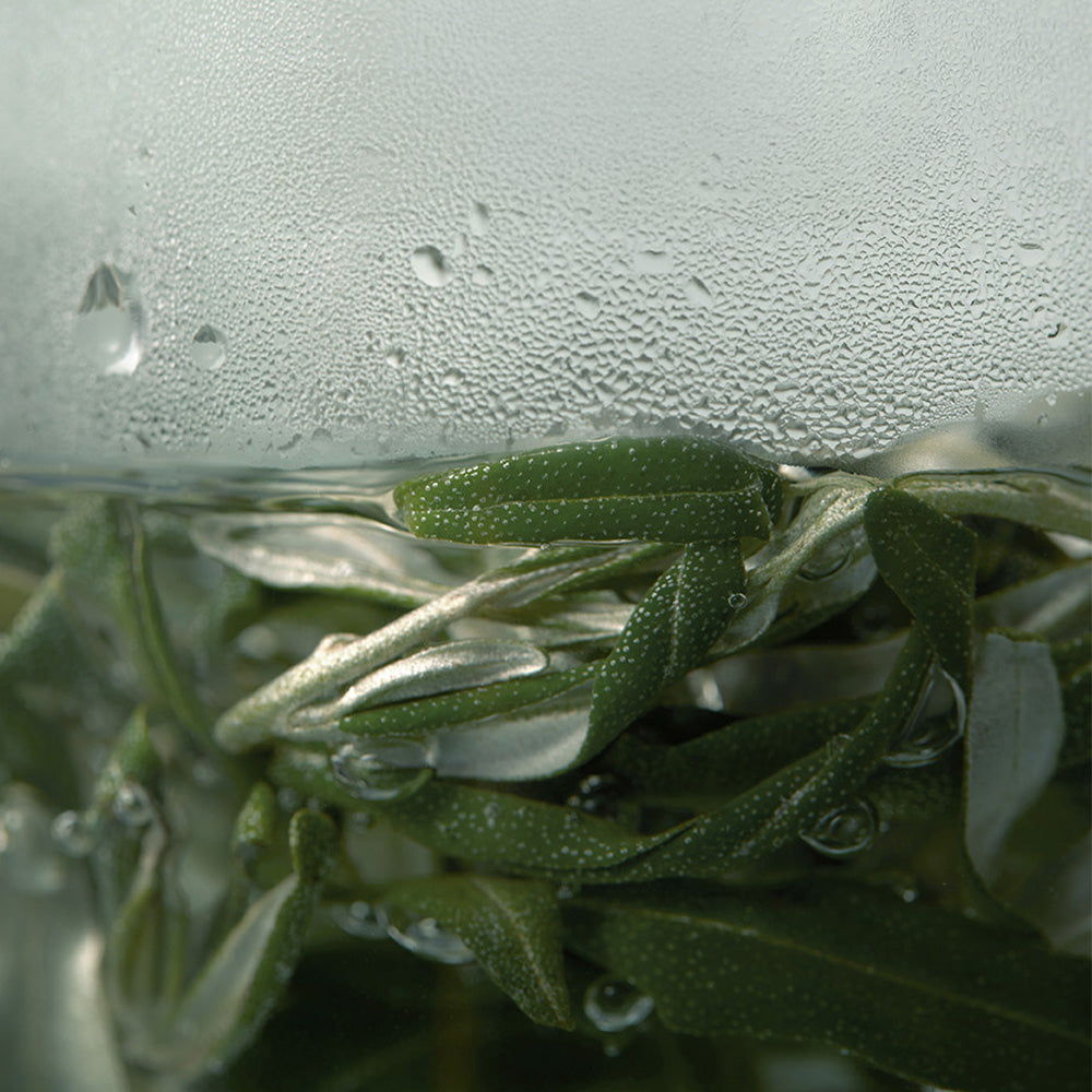 I'm from Vitamin Tree Sheet Mask 5ea