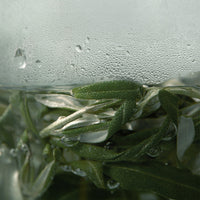 I'm from Vitamin Tree Sheet Mask 5ea