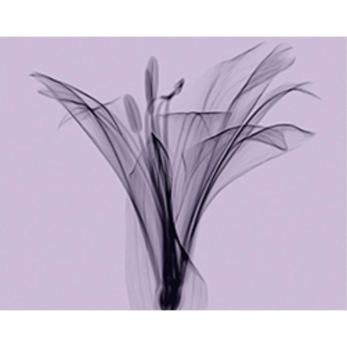 KUNDAL Honey & Macadamia Hair Treatment 500ml (Choose from 16 Scents)