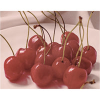 KUNDAL Perfume Diffuser 200ml Duo Set (Choose from 15 Scents)