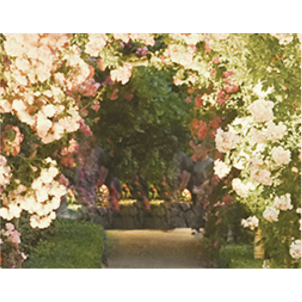 KUNDAL Perfume Diffuser 200ml Duo Set (Choose from 15 Scents)