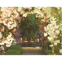 KUNDAL Perfume Diffuser 200ml Duo Set (Choose from 15 Scents)