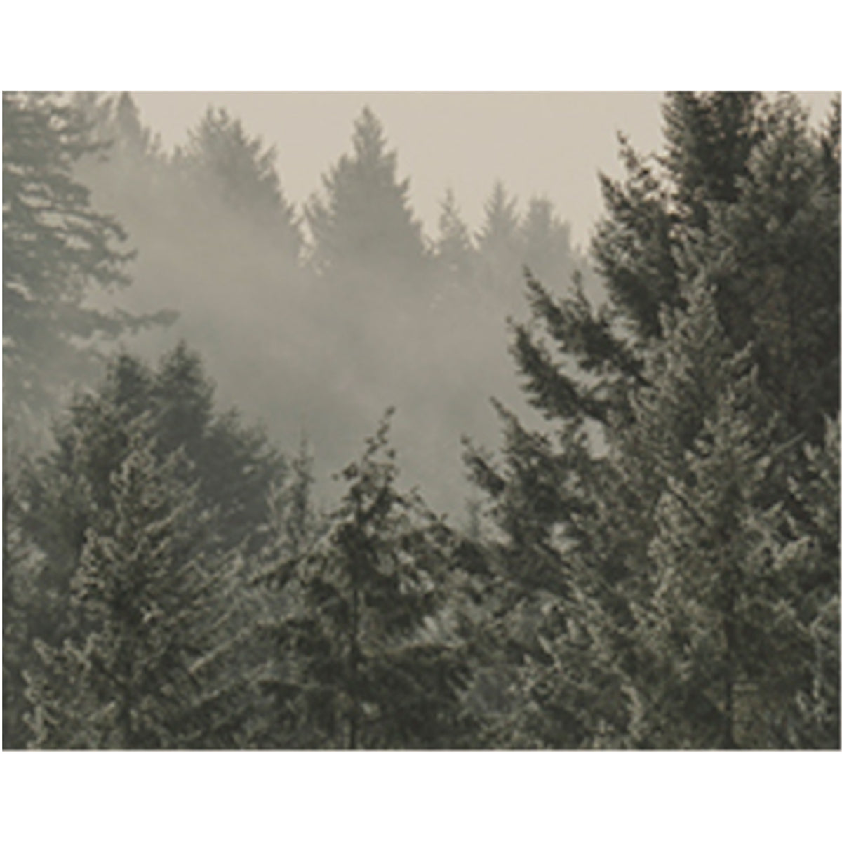 KUNDAL Perfume Diffuser 200ml Duo Set (Choose from 15 Scents)