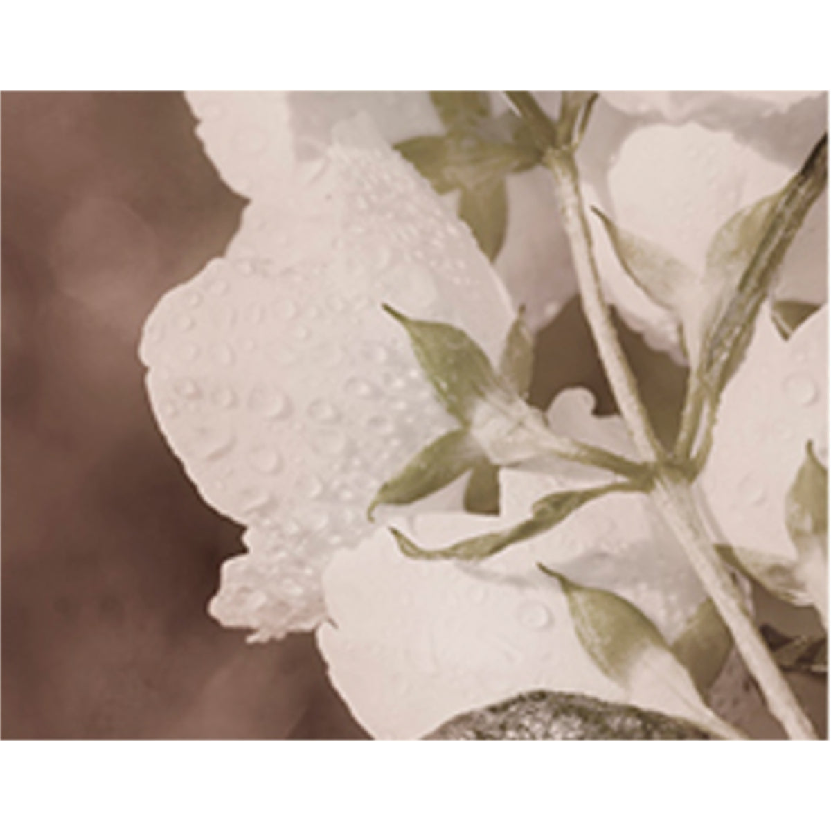 KUNDAL Perfume Diffuser 200ml Duo Set (Choose from 15 Scents)