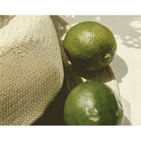 KUNDAL Perfume Diffuser 200ml Duo Set (Choose from 15 Scents)