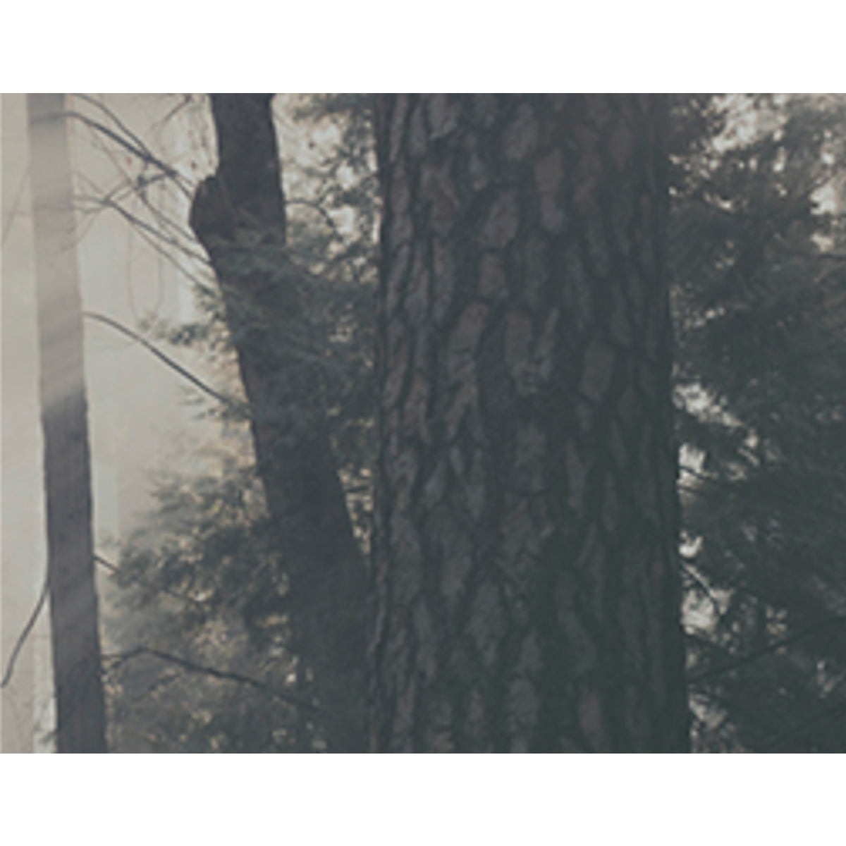 KUNDAL Perfume Diffuser 200ml Duo Set (Choose from 15 Scents)