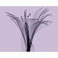 KUNDAL Perfume Diffuser 200ml Duo Set (Choose from 15 Scents)