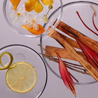 LABO-H Hair Loss Relief Scalp Strenthening Blanche & Woody Shampoo 400ml