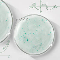 LABO-H Scalp Strengthening Scalp Scaler for Hair Loss Relief 208g