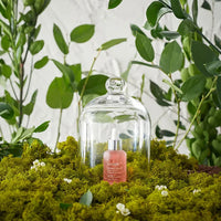 LAVIEN Kombu Biome Deep Hydra Calming Ampoule 50ml