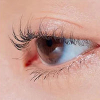 CLIO Kill Lash Super Proof Mascara 7g 3 types