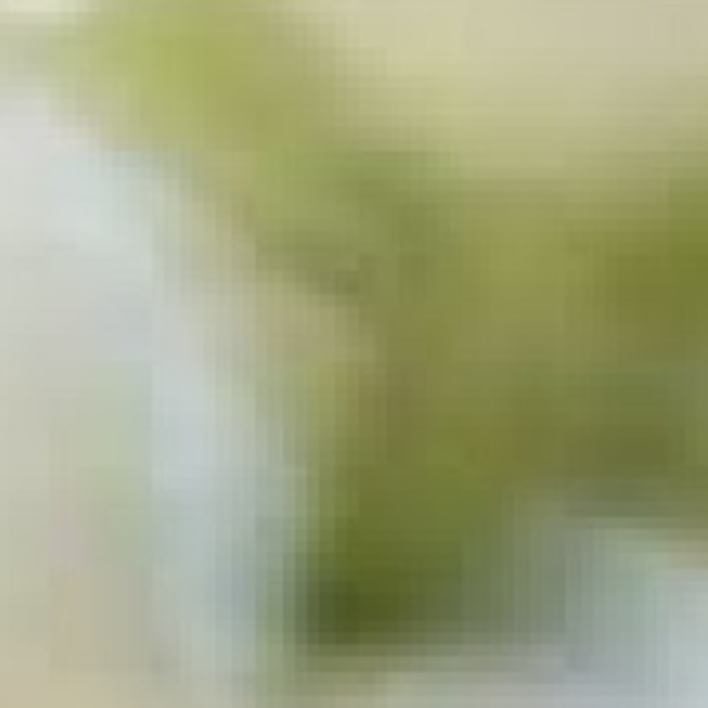 MINU Diffuser Eau de Parfum Air Freshener 200ml (Choose 1 of 4 Scents)