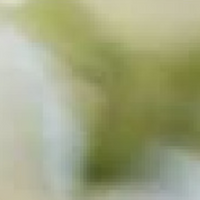 MINU Diffuser Sachet Closet & Car Air Freshener 24g (Choose 1 of 4 Scents)