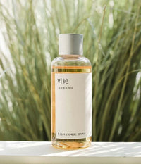 mixsoon Reishi Mushroom Essence 100ml - DODOSKIN