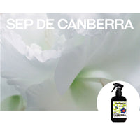 MONTHLY121 Mini Linen Water Room & Fabric Perfume 50ml (Choose 1 of 8)