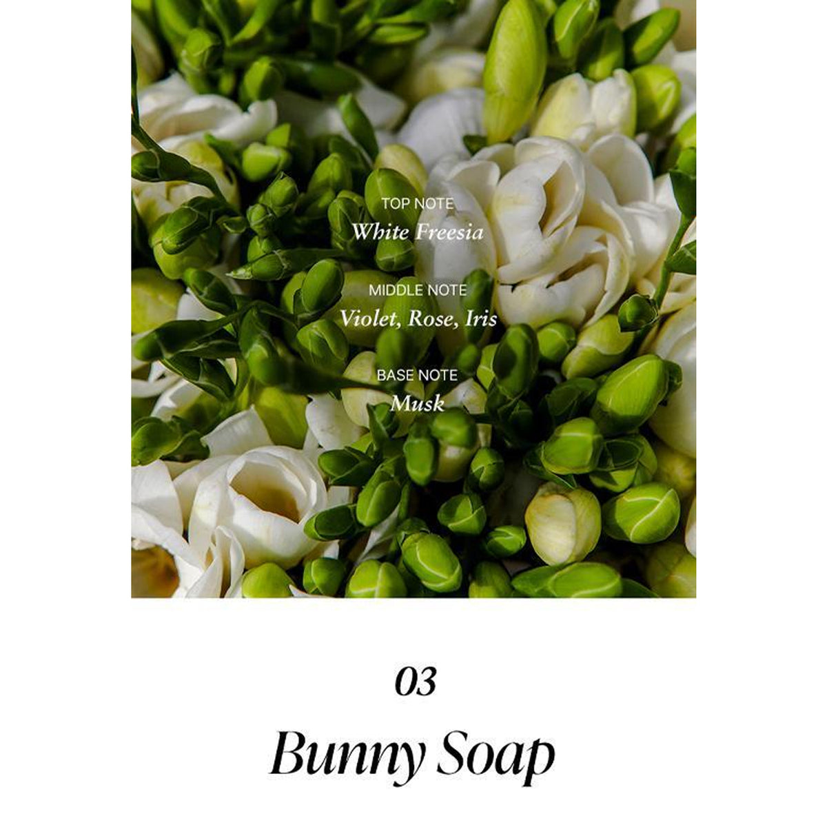 MUMCHIT Stay Perfume 80ml 5 Types