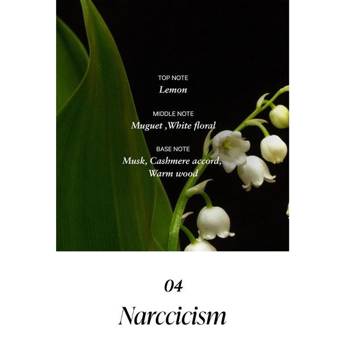 MUMCHIT Stay Perfume 80ml 5 Types