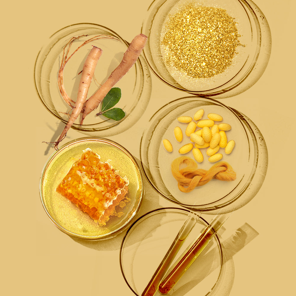 Nature Republic Ginseng Gold Silk Watery Cream 60g