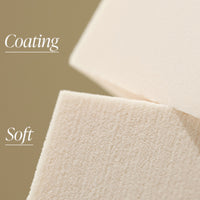 PICCASSO Artist Hydro Sponge (6P)