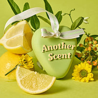 ROYCHE Handmade Heart Plaster Air Freshener (+Fragrance Oil)