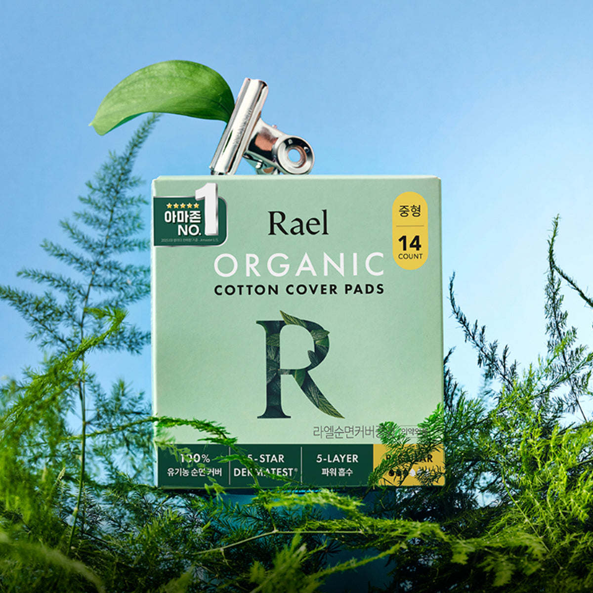 Rael Organic Cotton Cover Sanitary Pads 6-Pack Set (Medium)