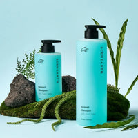 SCENEARTH Haisead Anti-Hair Loss Shampoo 1000ml