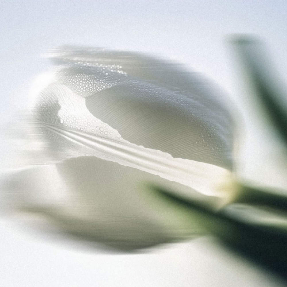 Scentlier Eau de Parfum Fjord Glass 50ml