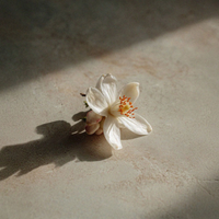 Scentlier Eau de Parfum Orange Blossom Toscana 30ml