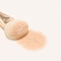 THE TOOL LAB 153 Classic Face Powder