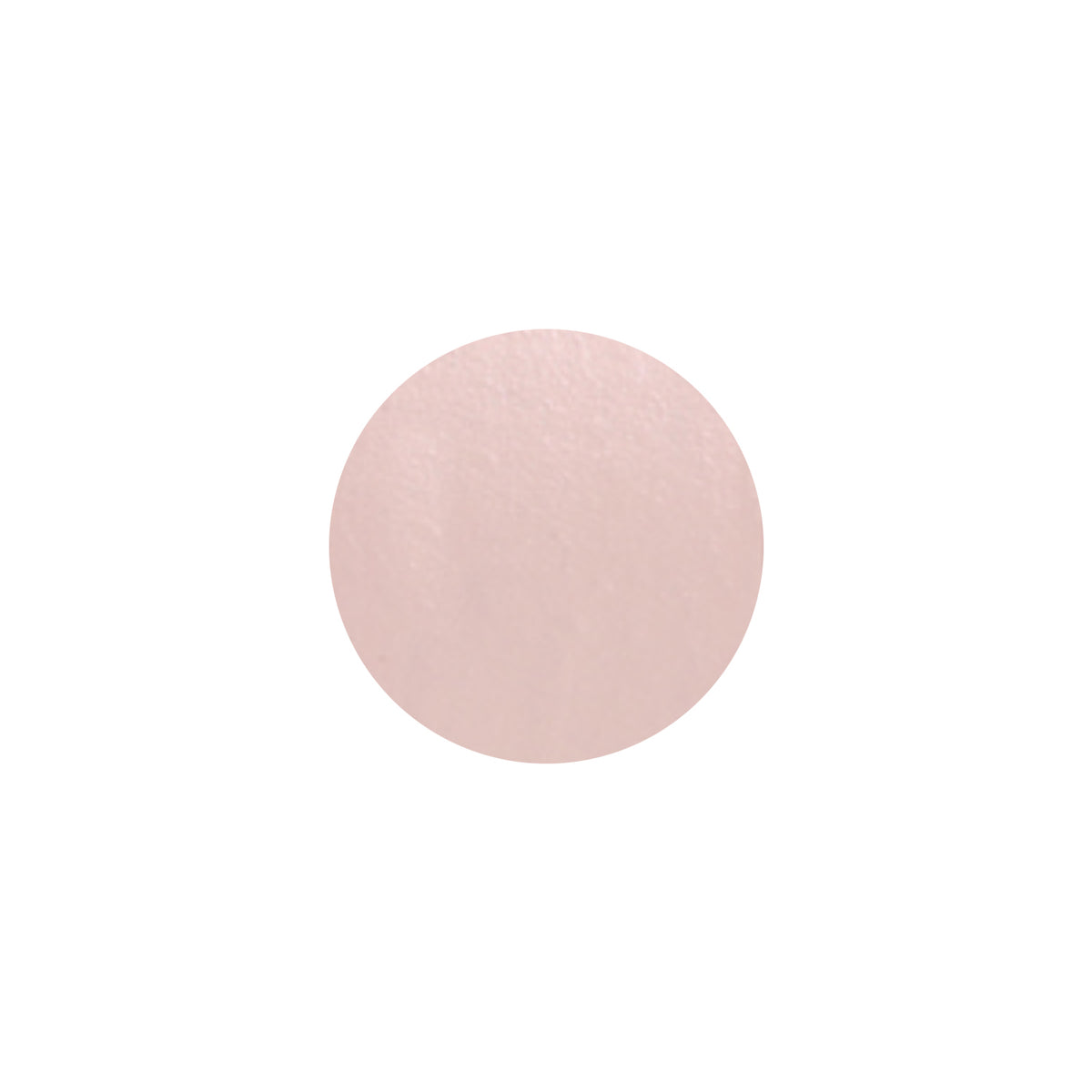 THE SAEM Cover Perfection Fixealer 6.5g 3 Colors