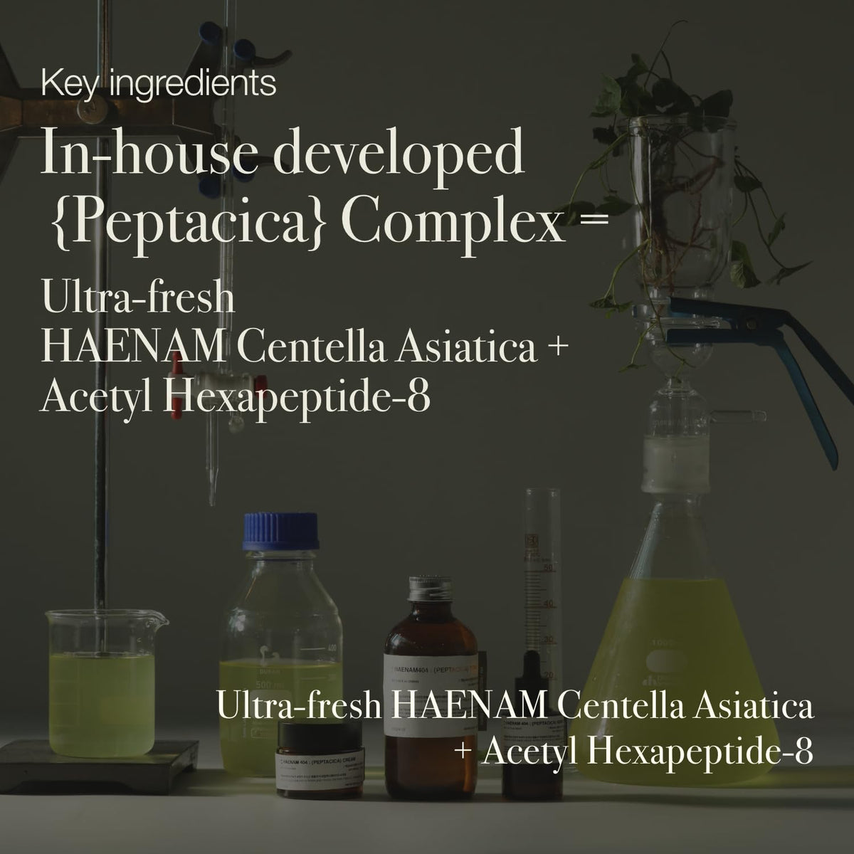 TOUN28 Haenam 404 Pepta-Cica Serum 30ml