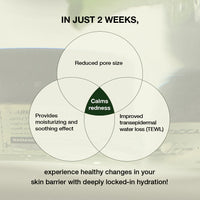 TOUN28 Haenam 404 Pepta-Cica Hydrator Moisture Cream 50g