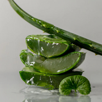 TOUN28 Standard Cica Aloe Soothing Gel 300g