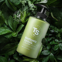 TS Houttuynia Cordata Treatment 500ml