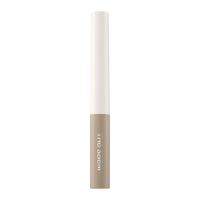 THE SAEM Cover Perfection Brow Concealer 4g